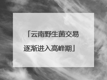 云南野生菌交易逐渐进入高峰期