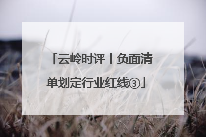 云岭时评丨负面清单划定行业红线③