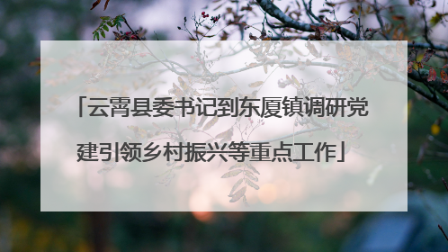 云霄县委书记到东厦镇调研党建引领乡村振兴等重点工作