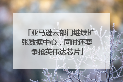 亚马逊云部门继续扩张数据中心，同时还要争抢英伟达芯片