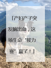 产妇产子突发脑出血，这场生命“接力赛”赢了！