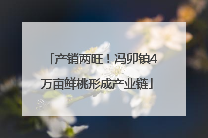 产销两旺！冯卯镇4万亩鲜桃形成产业链