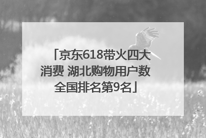京东618带火四大消费 湖北购物用户数全国排名第9名