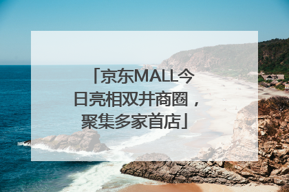 京东MALL今日亮相双井商圈，聚集多家首店