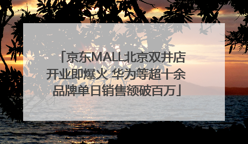 京东MALL北京双井店开业即爆火 华为等超十余品牌单日销售额破百万