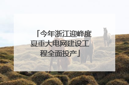 今年浙江迎峰度夏重大电网建设工程全面投产