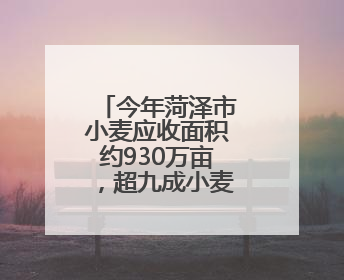 今年菏泽市小麦应收面积约930万亩，超九成小麦已颗粒归仓