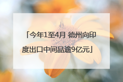 今年1至4月 德州向印度出口中间品逾9亿元