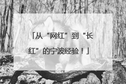 从“网红”到“长红”的宁波经验！