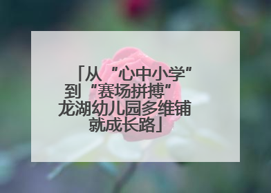 从“心中小学”到“赛场拼搏” 龙湖幼儿园多维铺就成长路