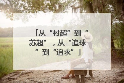 从“村超”到“苏超”，从“追球”到“追求”