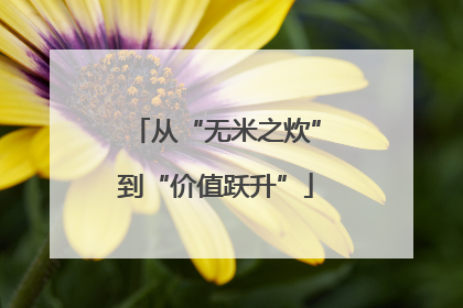 从“无米之炊”到“价值跃升”