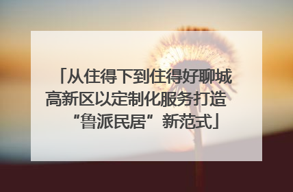 从住得下到住得好聊城高新区以定制化服务打造“鲁派民居”新范式