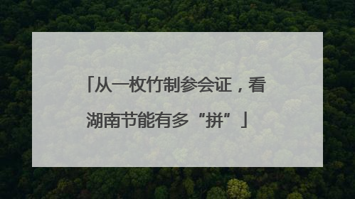 从一枚竹制参会证，看湖南节能有多“拼”
