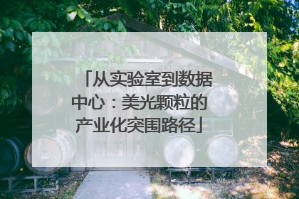 从实验室到数据中心：美光颗粒的产业化突围路径