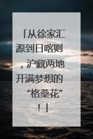 从徐家汇源到日喀则，沪藏两地开满梦想的“格桑花”！