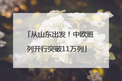 从山东出发！中欧班列开行突破11万列