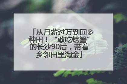 从月薪过万到回乡种田！“敢吃螃蟹”的长沙90后，带着乡邻田里淘金