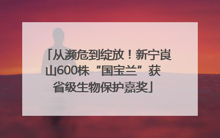 从濒危到绽放！新宁崀山600株“国宝兰”获省级生物保护嘉奖