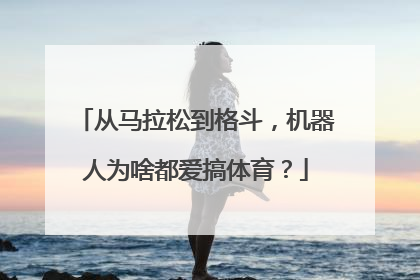 从马拉松到格斗，机器人为啥都爱搞体育？
