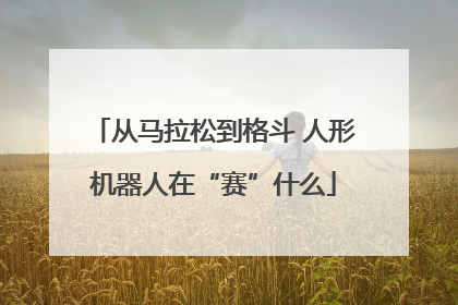 从马拉松到格斗 人形机器人在“赛”什么
