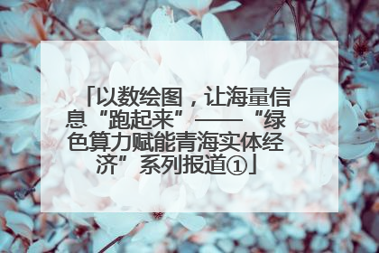 以数绘图，让海量信息“跑起来”——“绿色算力赋能青海实体经济”系列报道①