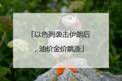 以色列袭击伊朗后，油价金价跳涨