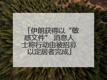 伊朗获得以“敏感文件” 消息人士称行动由被招募以定居者完成