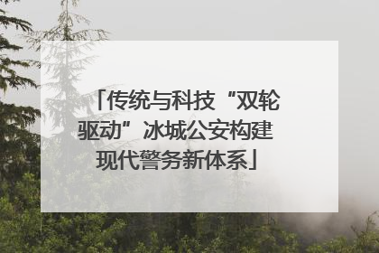 传统与科技“双轮驱动”冰城公安构建现代警务新体系