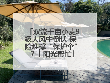 双流千亩小麦9级大风中倒伏 保险难撑“保护伞”？丨阳光帮忙