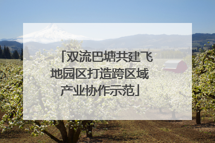双流巴塘共建飞地园区打造跨区域产业协作示范