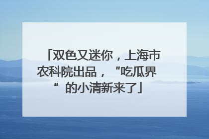 双色又迷你，上海市农科院出品，“吃瓜界”的小清新来了