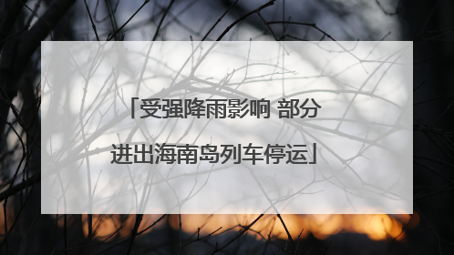 受强降雨影响 部分进出海南岛列车停运