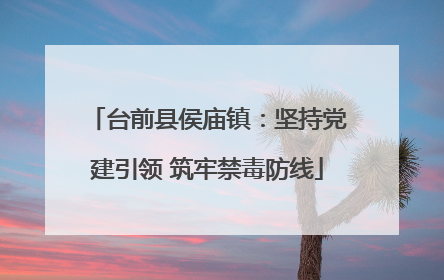台前县侯庙镇：坚持党建引领 筑牢禁毒防线