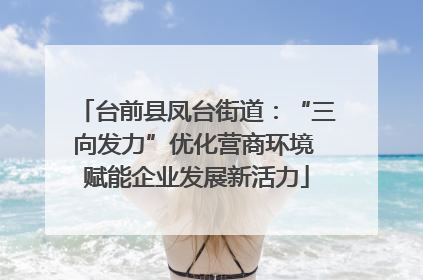 台前县凤台街道：“三向发力”优化营商环境 赋能企业发展新活力