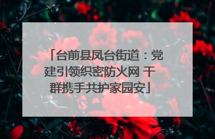 台前县凤台街道：党建引领织密防火网 干群携手共护家园安