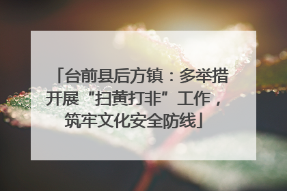 台前县后方镇：多举措开展“扫黄打非”工作，筑牢文化安全防线