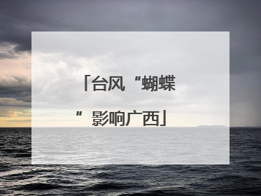 台风“蝴蝶”影响广西