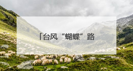 台风“蝴蝶”路径有变！或在海南这一带登陆