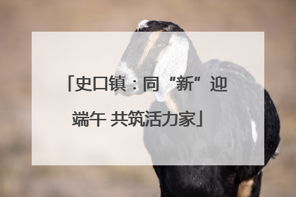 史口镇：同“新”迎端午 共筑活力家
