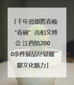 千年瓷都携春晚“春碗”亮相文博会 江西馆2000余件展品尽显赣鄱文化魅力