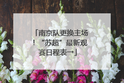 南京队更换主场！“苏超”最新观赛日程表→