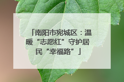 南阳市宛城区：温暖“志愿红”守护居民“幸福路”