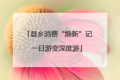 县乡消费“焕新”记 一日游变深度游