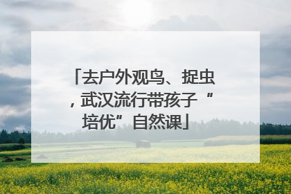 去户外观鸟、捉虫，武汉流行带孩子“培优”自然课
