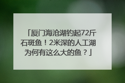 厦门海沧湖钓起72斤石斑鱼！2米深的人工湖为何有这么大的鱼？