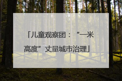 儿童观察团：“一米高度”丈量城市治理