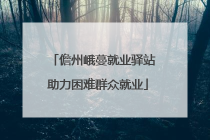 儋州峨蔓就业驿站助力困难群众就业