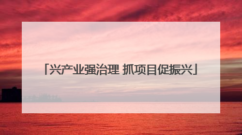 兴产业强治理 抓项目促振兴