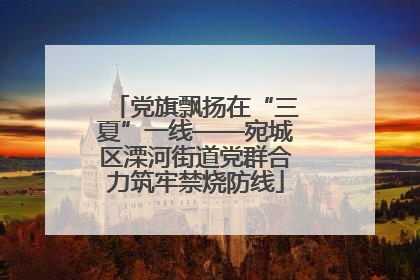 党旗飘扬在“三夏”一线——宛城区溧河街道党群合力筑牢禁烧防线